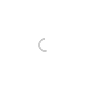 Aneís