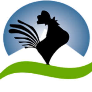 VP Comércio Granjeiro